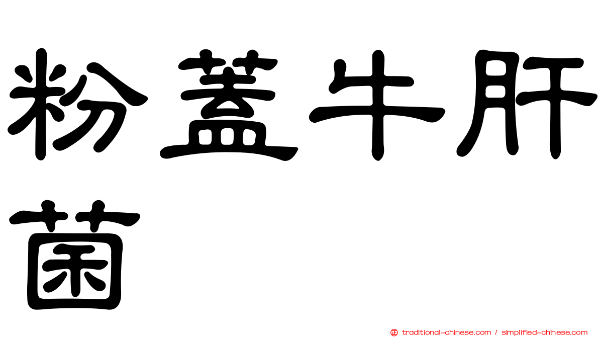 粉蓋牛肝菌