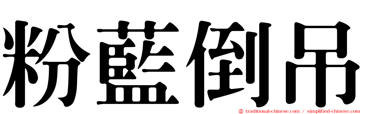 粉藍倒吊