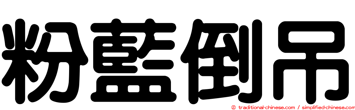 粉藍倒吊