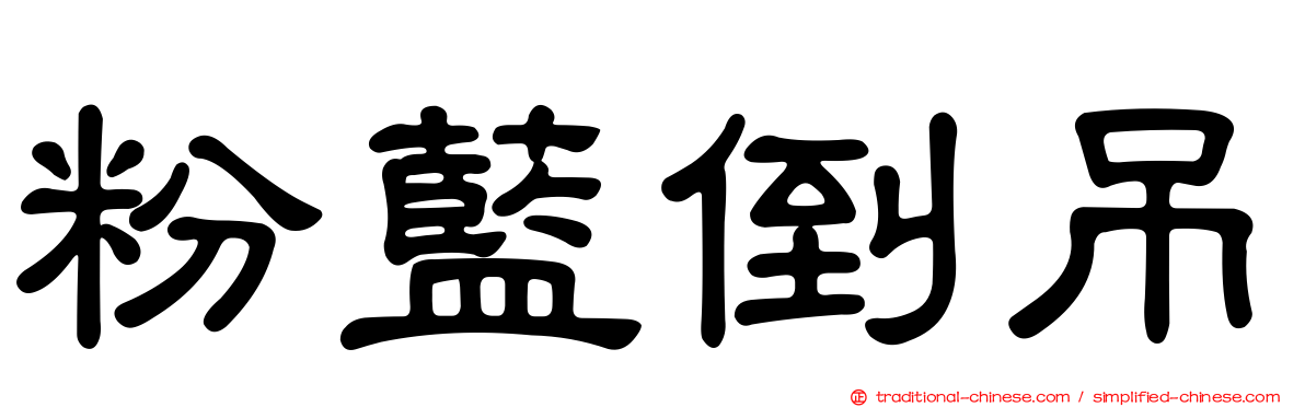 粉藍倒吊