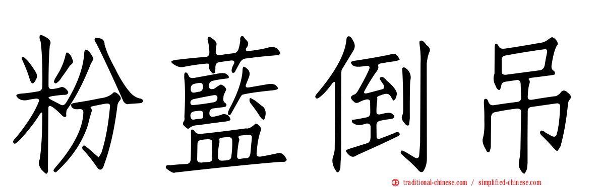 粉藍倒吊