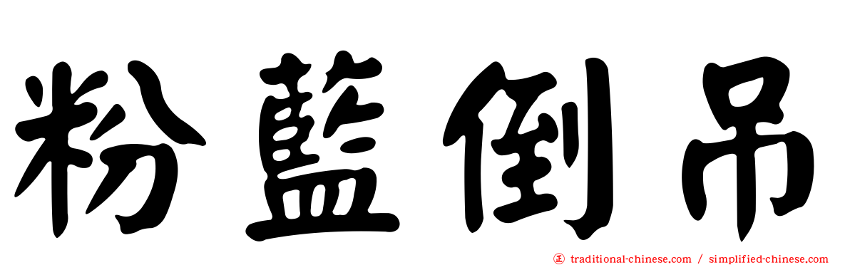 粉藍倒吊
