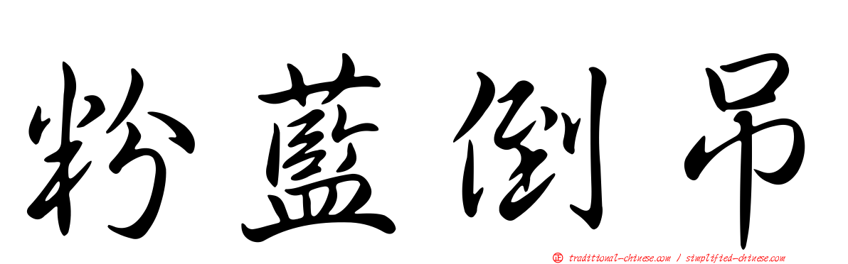 粉藍倒吊
