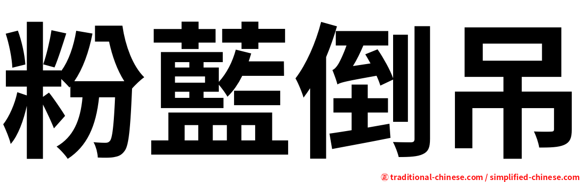 粉藍倒吊