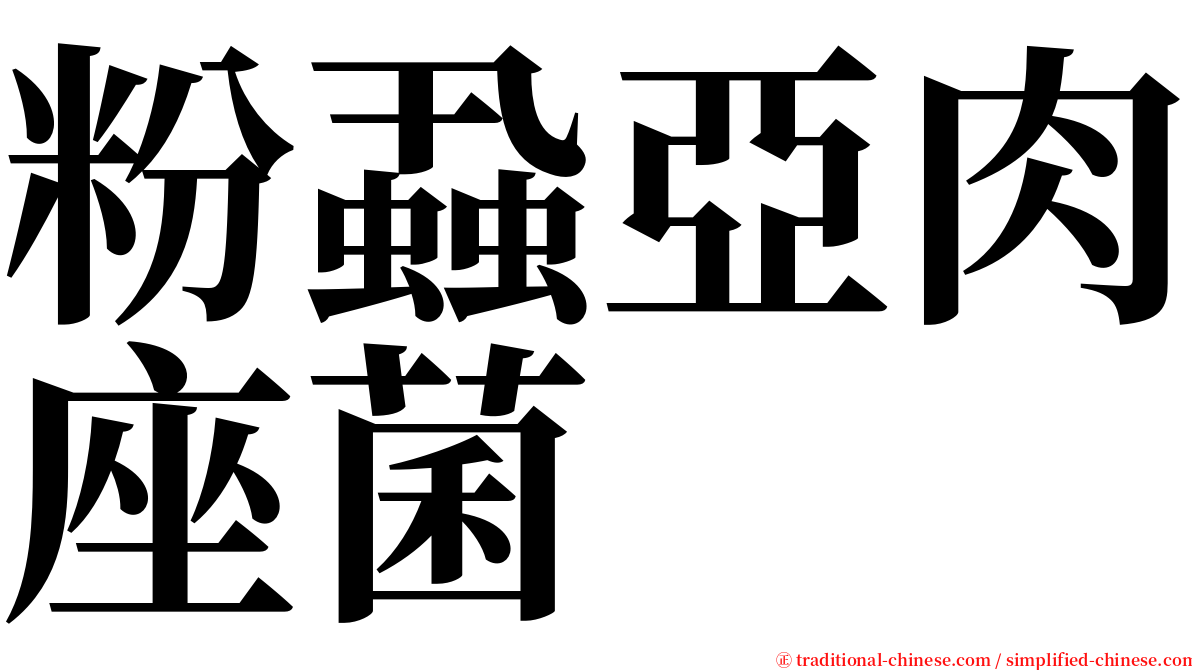 粉蝨亞肉座菌 serif font