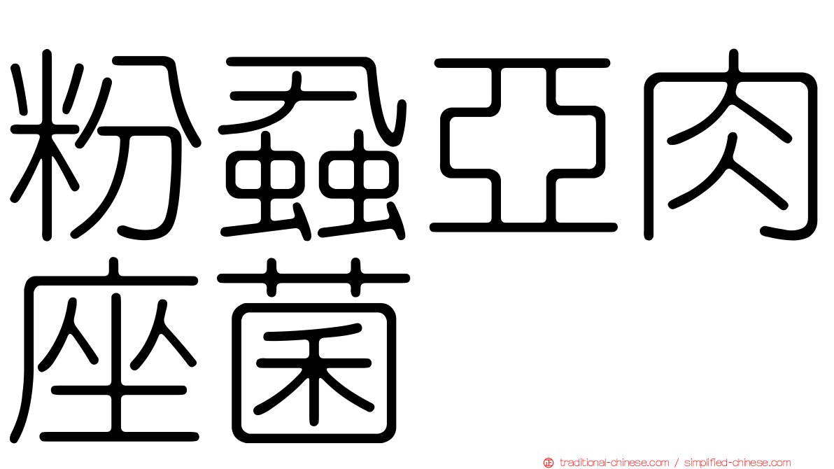 粉蝨亞肉座菌