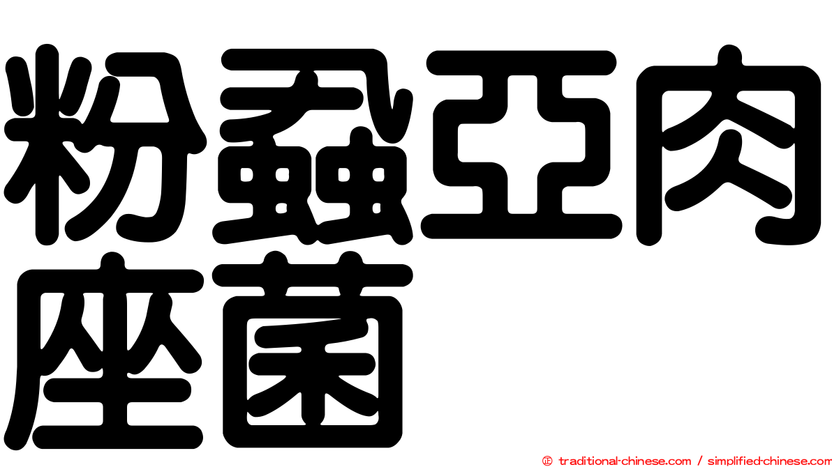 粉蝨亞肉座菌