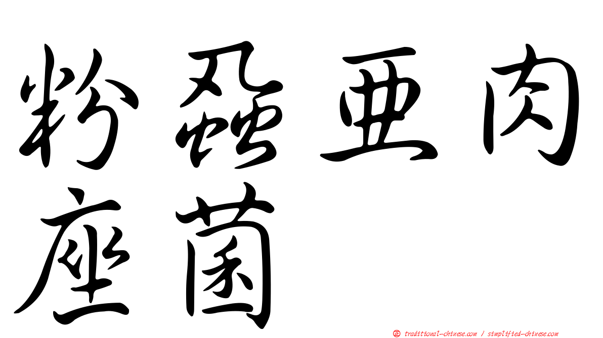 粉蝨亞肉座菌