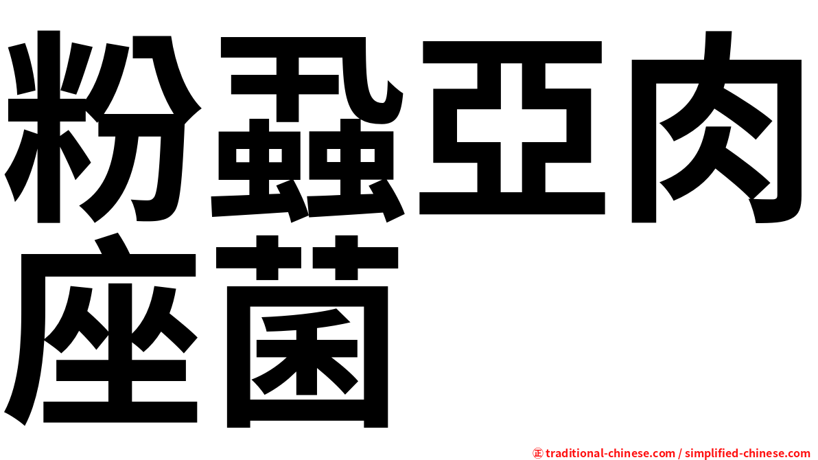 粉蝨亞肉座菌