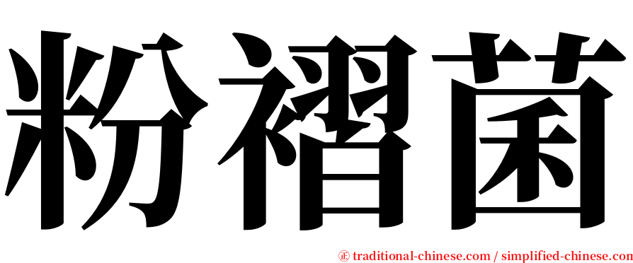 粉褶菌 serif font
