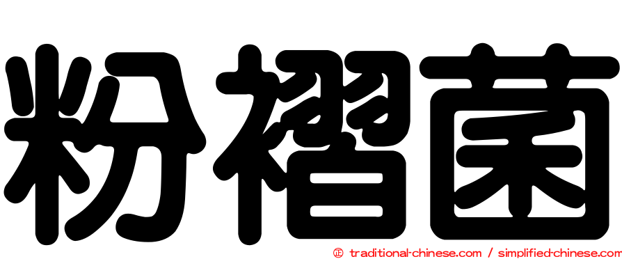 粉褶菌