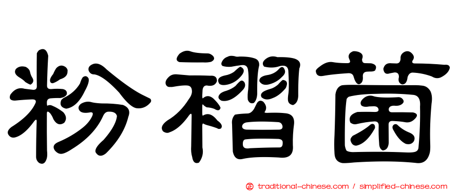 粉褶菌