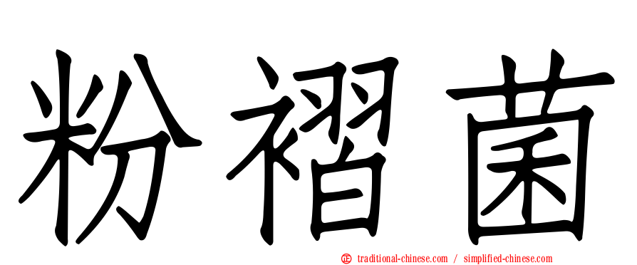 粉褶菌