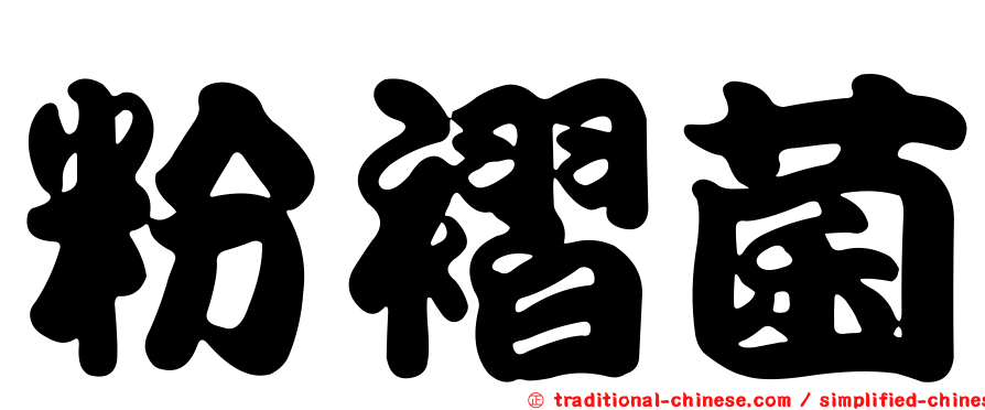 粉褶菌