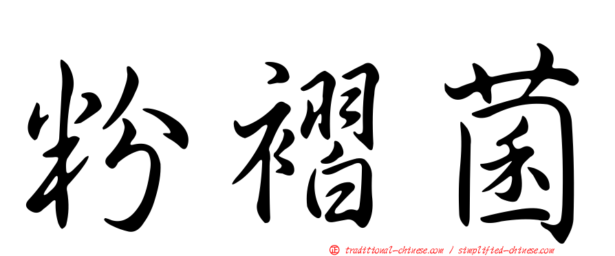 粉褶菌
