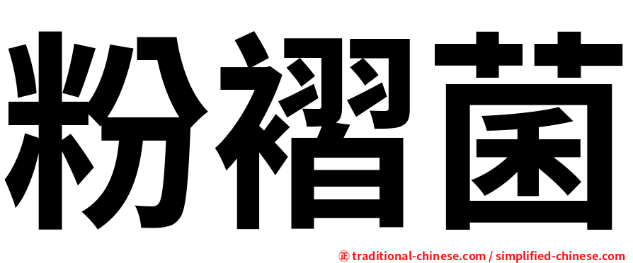 粉褶菌