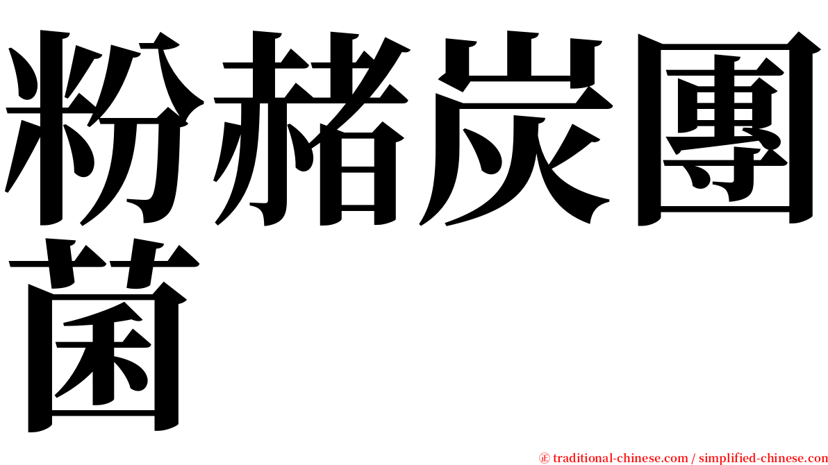 粉赭炭團菌 serif font