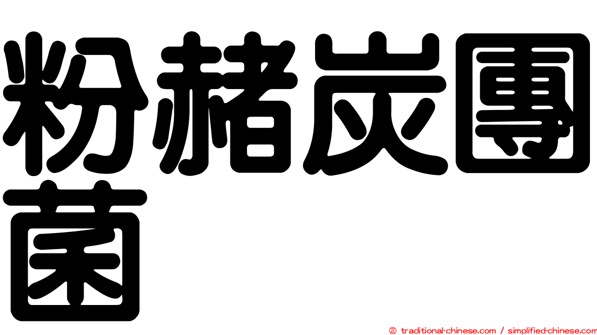 粉赭炭團菌