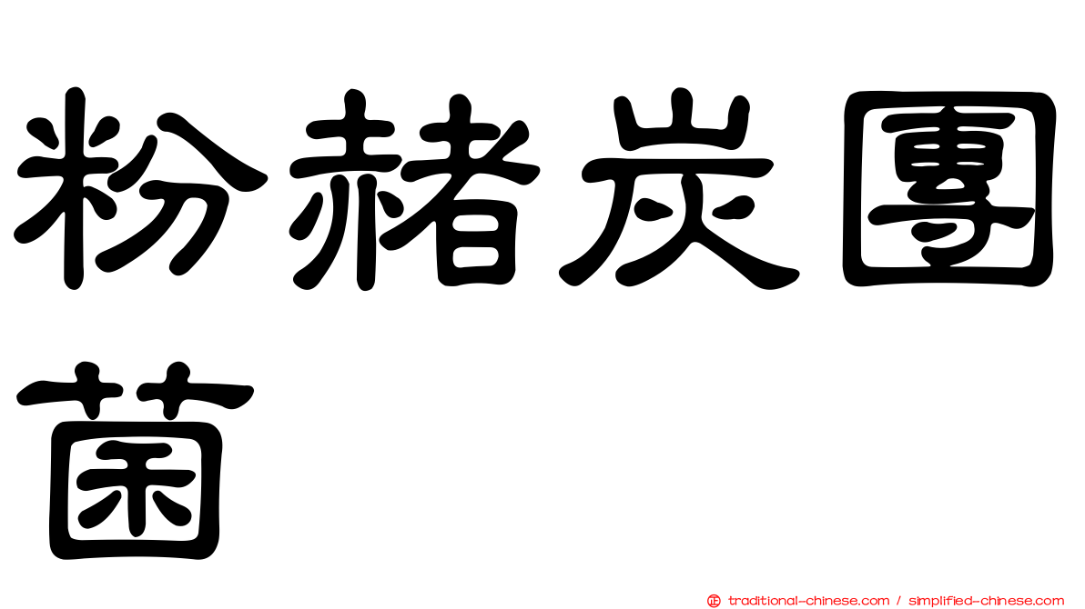 粉赭炭團菌