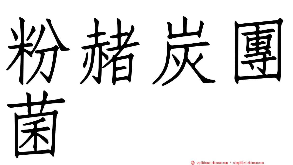 粉赭炭團菌