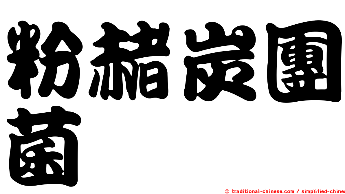 粉赭炭團菌