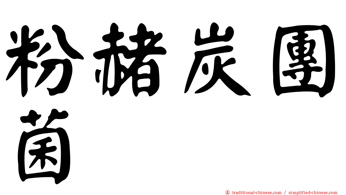 粉赭炭團菌