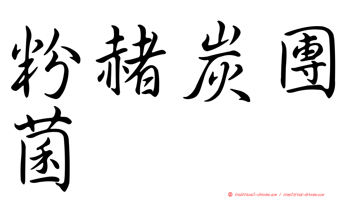 粉赭炭團菌