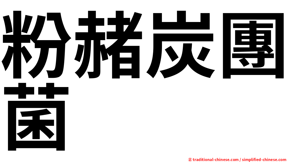 粉赭炭團菌