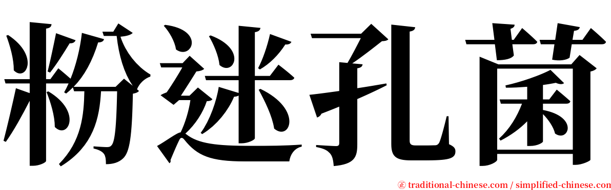 粉迷孔菌 serif font
