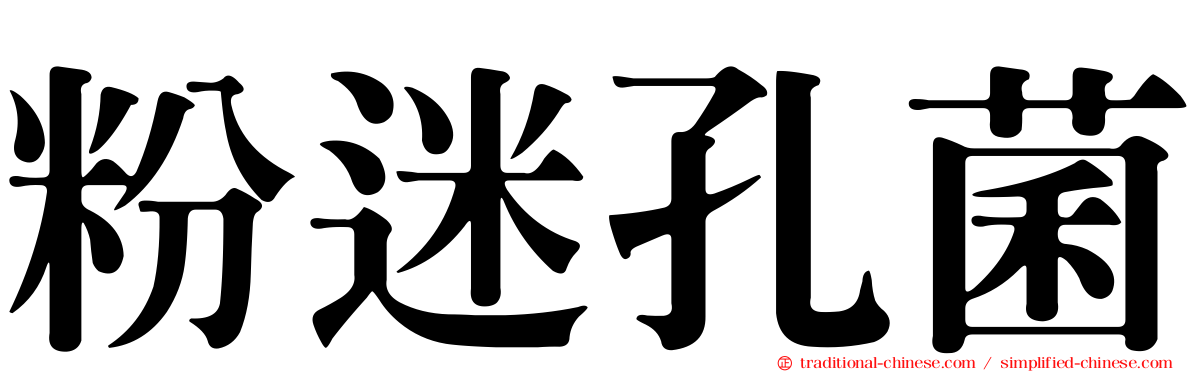 粉迷孔菌