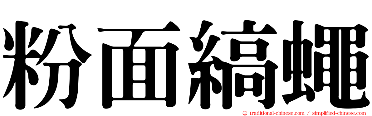 粉面縞蠅