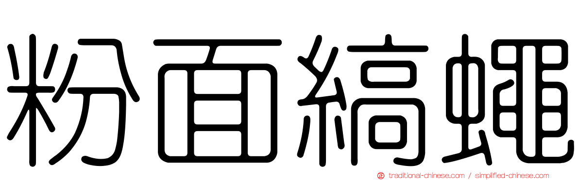 粉面縞蠅
