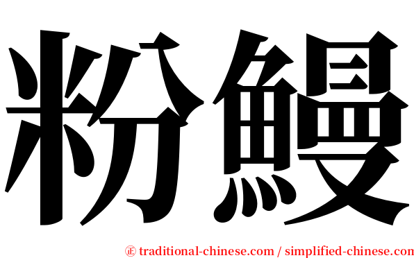 粉鰻 serif font