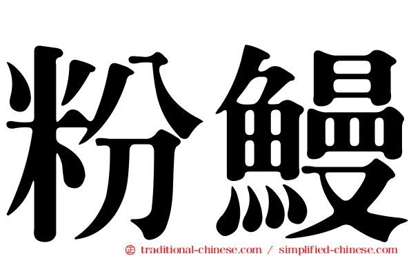 粉鰻