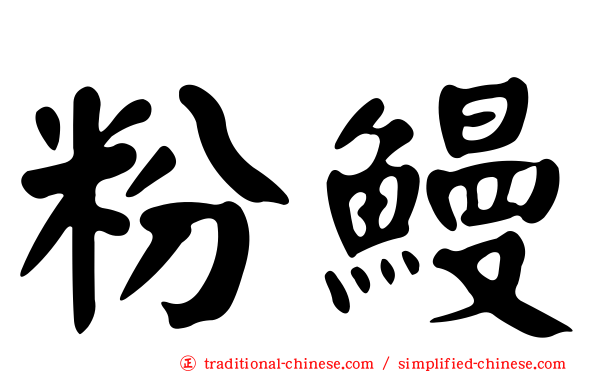 粉鰻