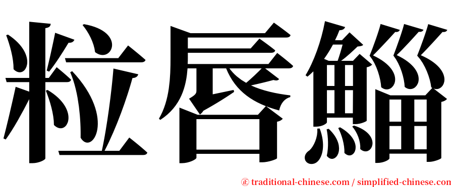 粒唇鯔 serif font