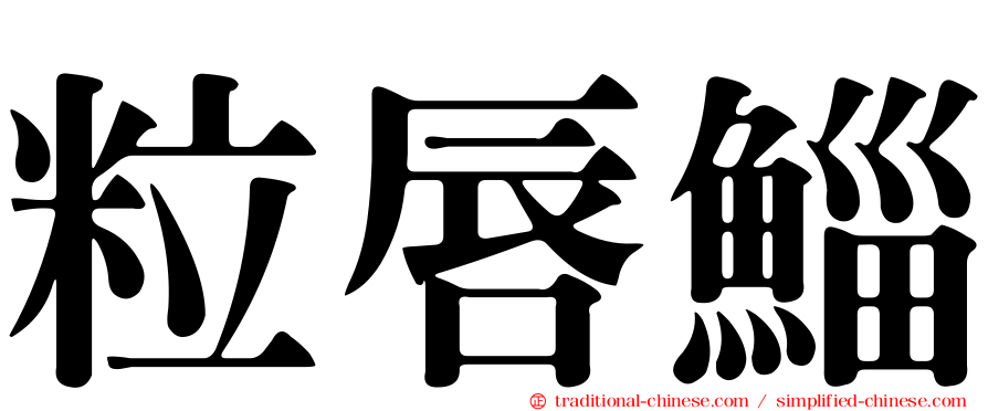 粒唇鯔