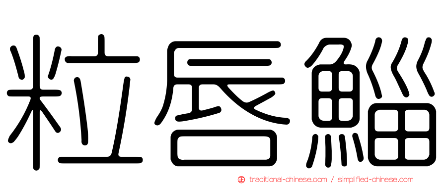 粒唇鯔