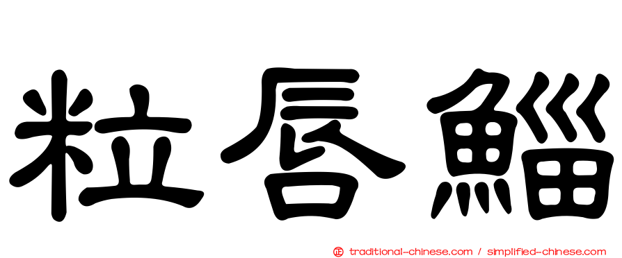 粒唇鯔