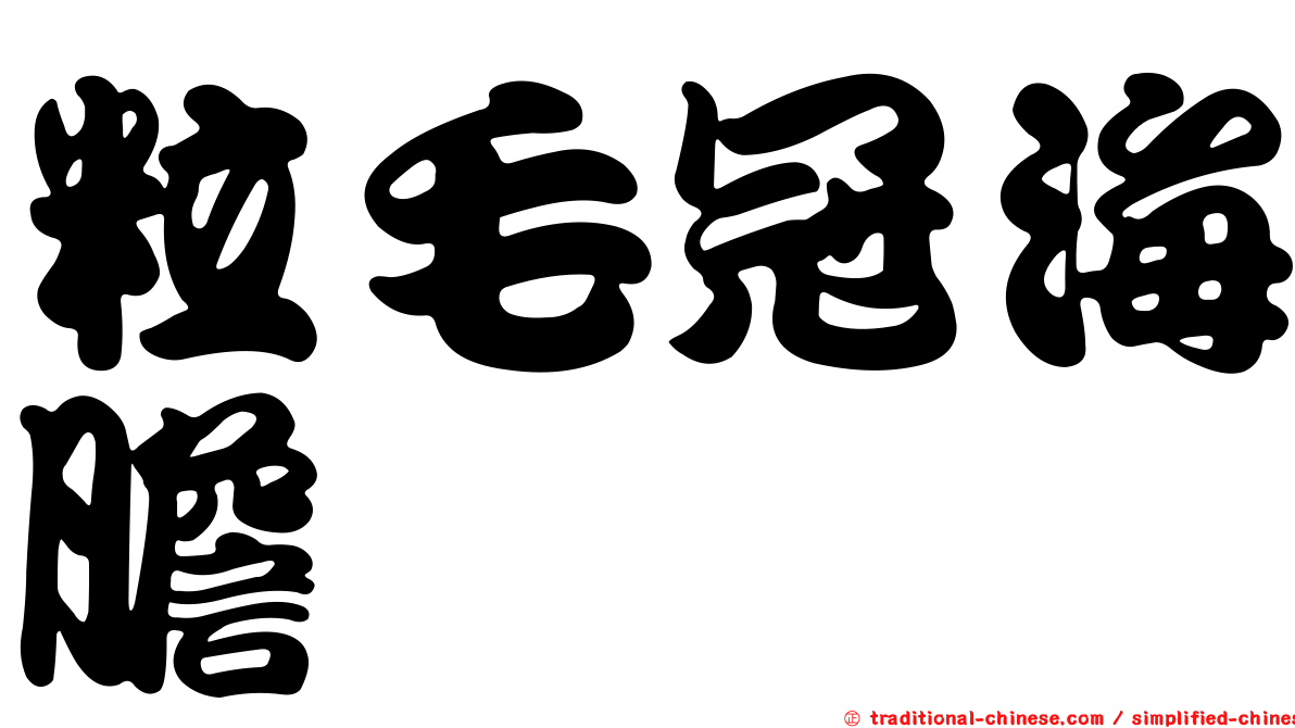 粒毛冠海膽