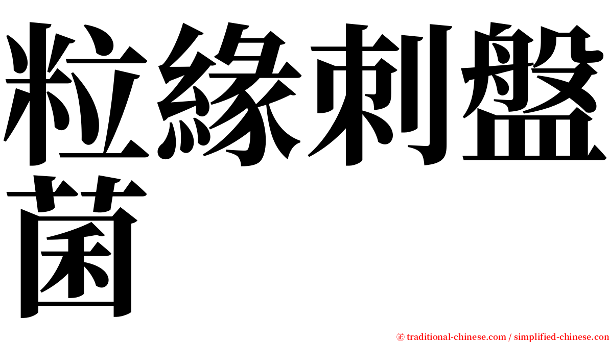 粒緣刺盤菌 serif font
