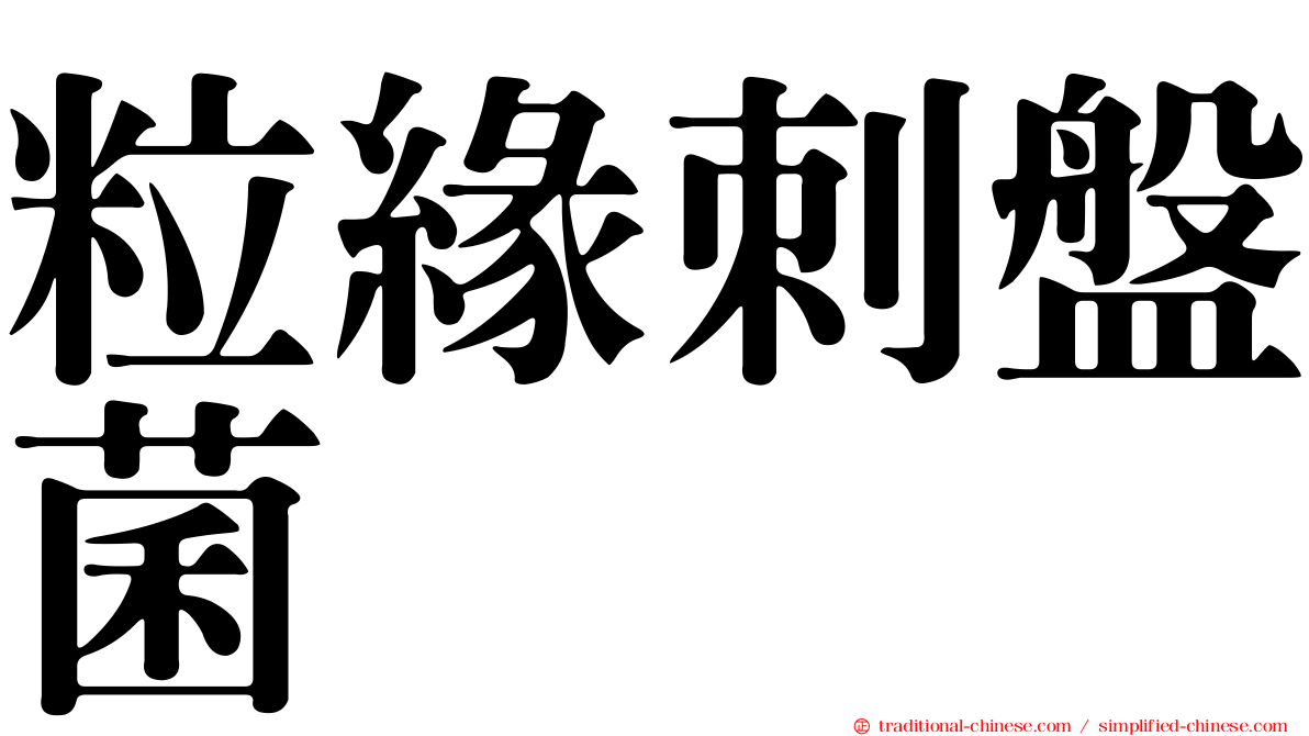 粒緣刺盤菌