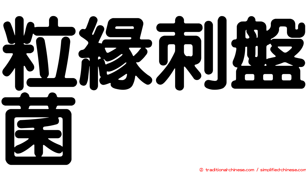 粒緣刺盤菌