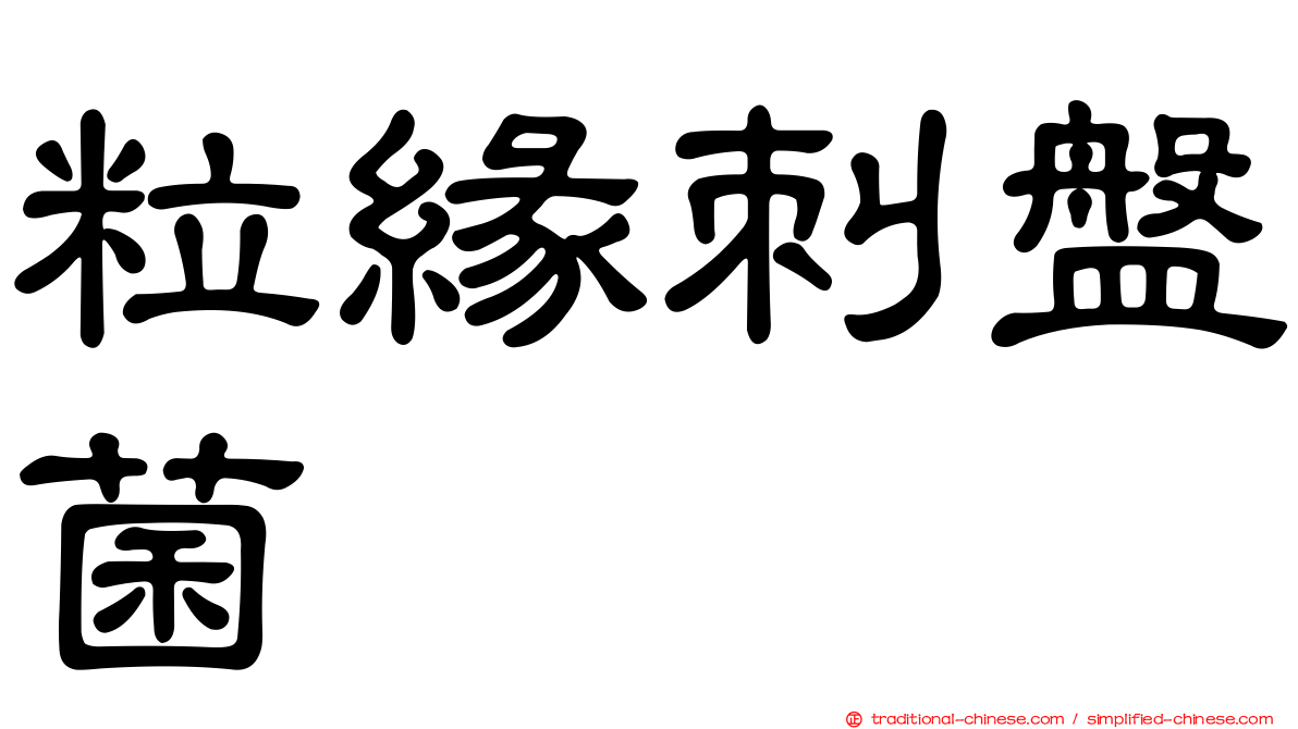 粒緣刺盤菌