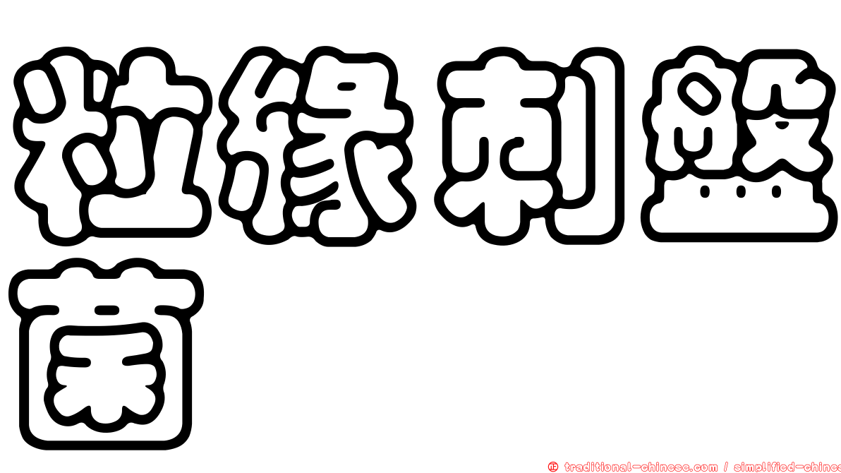 粒緣刺盤菌