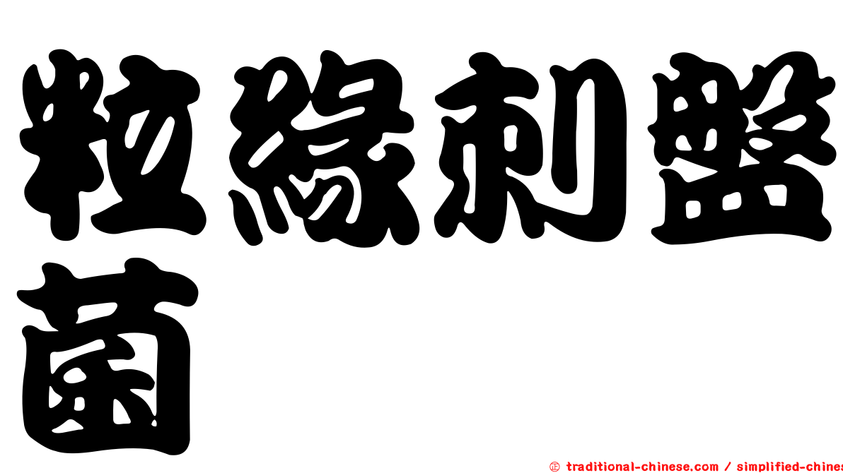 粒緣刺盤菌