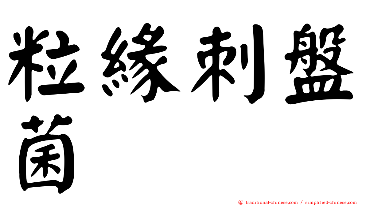 粒緣刺盤菌