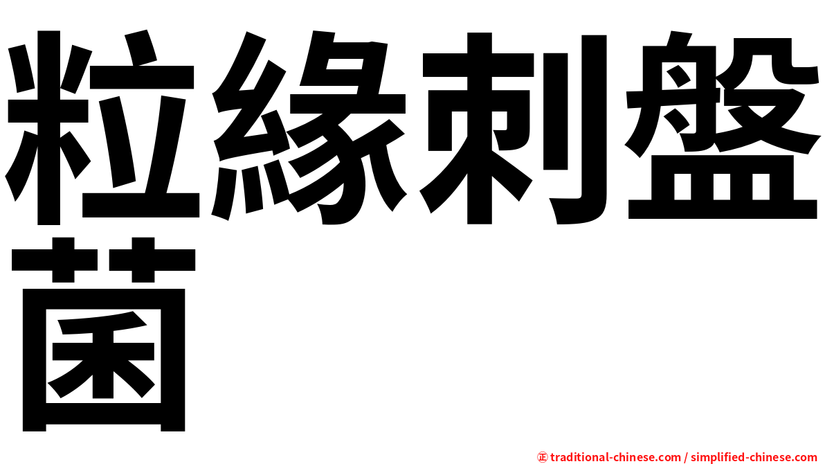 粒緣刺盤菌