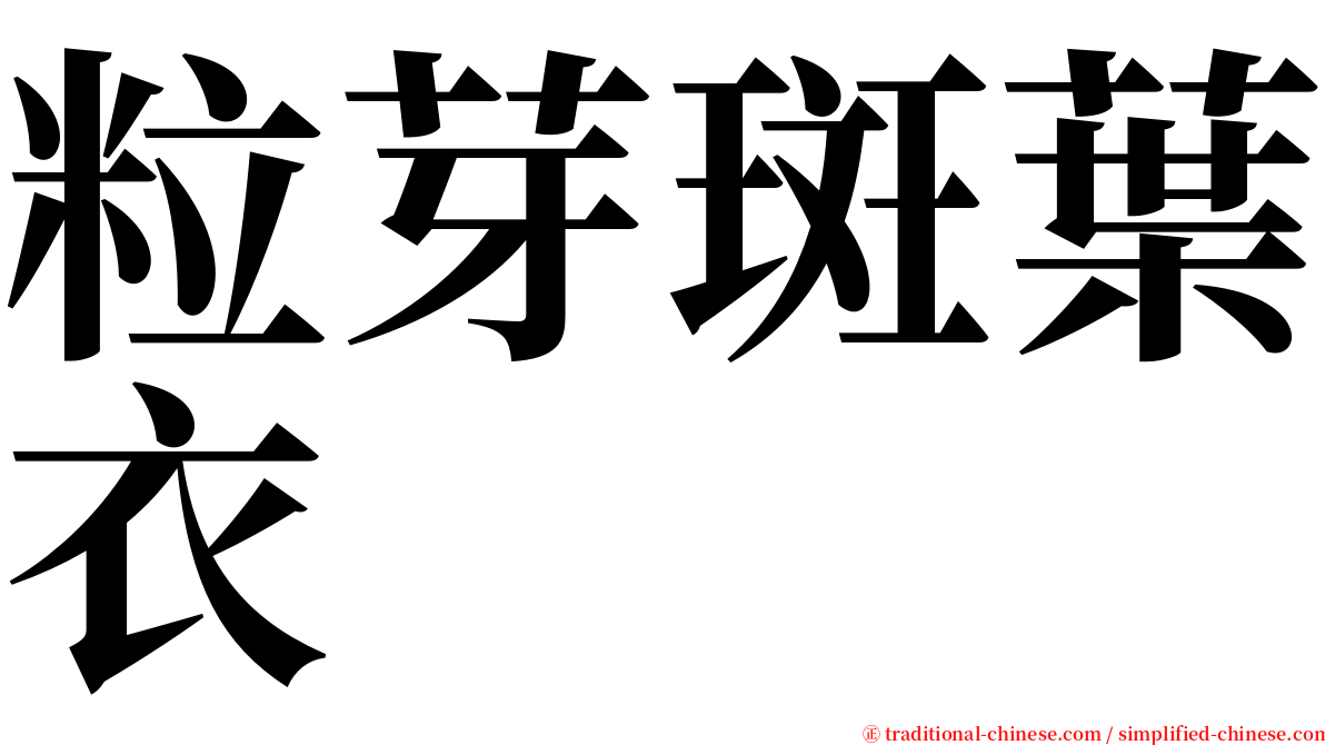 粒芽斑葉衣 serif font