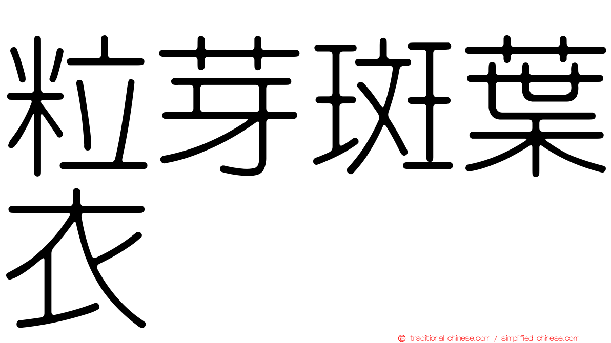 粒芽斑葉衣